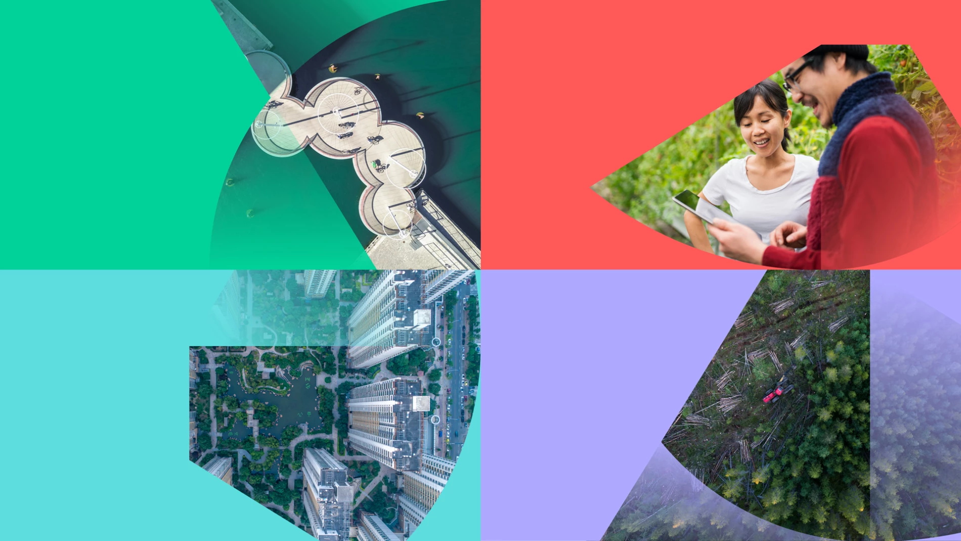 Four images showing how the SEI framing devices are used with images, each cut out on a coloured background.