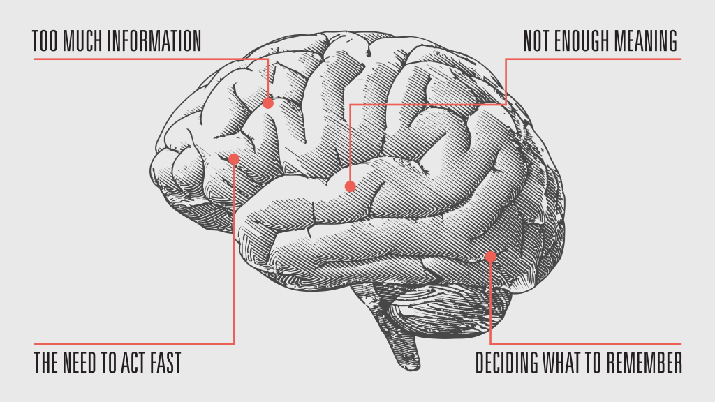 An inforgraphic from an issue, featuring a detailed drawing of a brain.