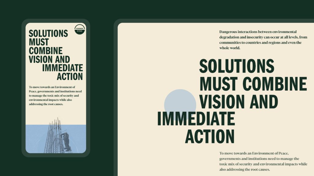 A snapshot of the website showing a section focused on solutions – the title reads "Solutions must combine vision and immediate action" 